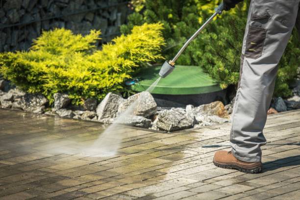 Best Gutter Cleaning  in Cutchogue, NY